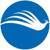 Logo ou avatar de Celestra